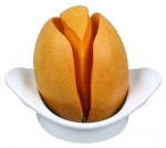 Tranche mangue