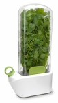 Herbier frigo