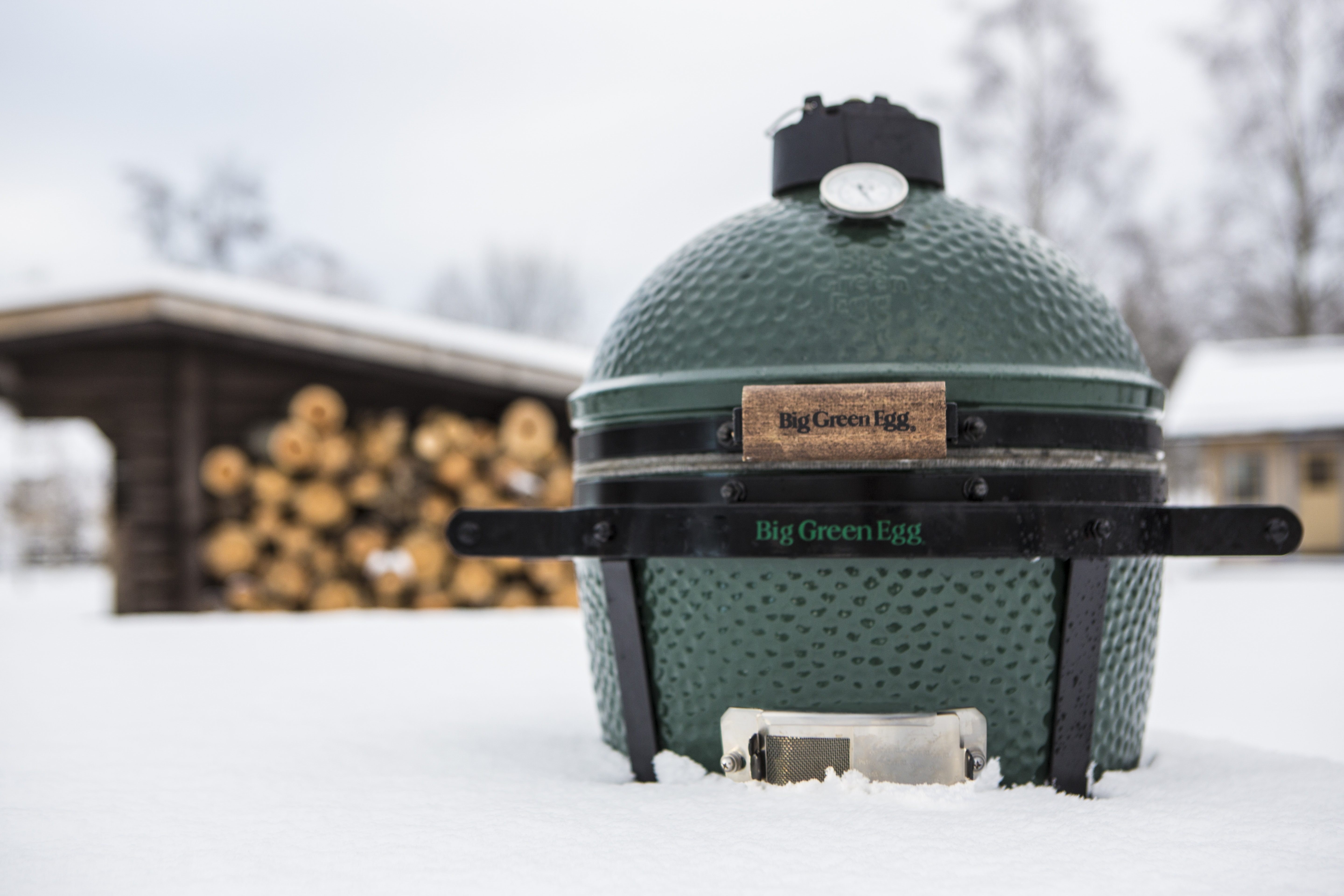 IG GREEN EGG NEIGE