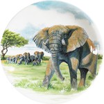 Assiette Dessert 22 cm Elephant Safari SAFARI