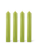 Boite de 12 bougies de table cylindriques Vert Gazon