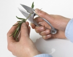 Ciseaux a herbes Emsa en inox