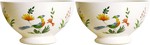 Coffret de 2 Bols OISEAUX DU PARADIS