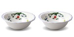 Coffret de 2 Saladiers OISEAUX DU PARADIS