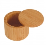 Boite a sel magnetique