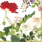 Ivory Profusion of flo.x 20 serv.mm