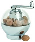 Moulin a muscade manuel Ternate Chrome