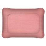 Plateau Acrylique 19 X 13 cm Secret - Rose Clair