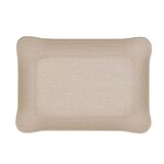 Plateau Acrylique 19 X 13 cm Secret argent