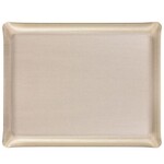 Plateau Acrylique 46 X 36 cm Secret argent