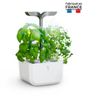 Potager D'interieur Intelligent Exky CONNECT Infinity Grey