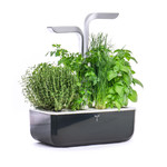 Potager D'interieur Intelligent Smart Soft Black