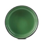 Set de 4 caractere assiette gourmande 17cm menthe