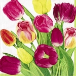 Tulips x 20 serv.mm