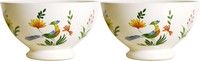 Coffret de 2 Bols OISEAUX DU PARADIS
