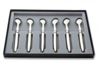 Coffret de 6 Cuilleres a cafe Laguiole inox