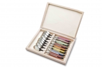 Coffret de 8 cuilleres a cafe Laguiole (8 couleurs en acrylique assorties)