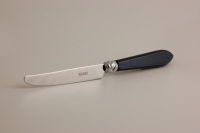 Couteau a dessert DIANA SAPHIR
