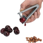 Denoyauteur cerise petit modele