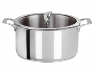 Faitout 20 cm Inox Casteline Fixe