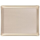 Plateau Acrylique 46 X 36 cm Secret argent