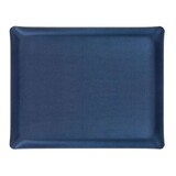 Plateau Acrylique 60 X 45 cm Secret marine