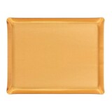 Plateau Acrylique 60 X 45 cm Secret or