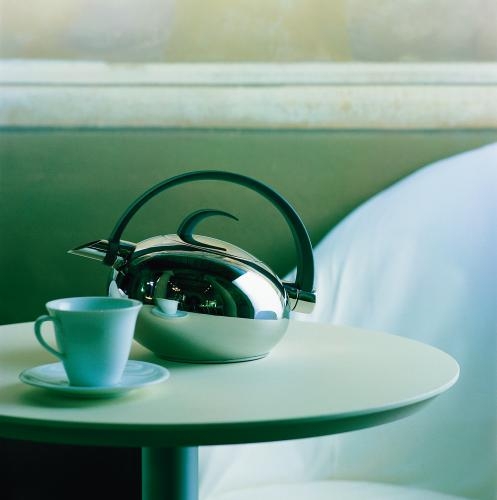 Bouilloire Palmhouse gris brillant 1,75 l B175PBG