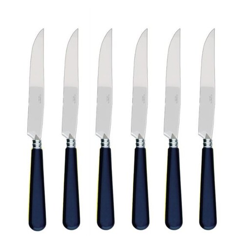 Coffret de 6 couteaux à steak NEWBRIDGE BLEU FRANCE