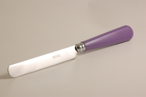 Couteau à dessert Newbridge violet