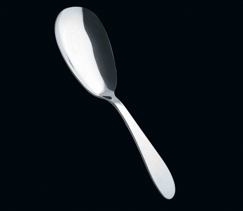 Cuillères à Riz En Inox - Lot De 2, Grande Capacité, Finition Miroir, Ergonomiques Pour Servir Et Cuisiner Facilement