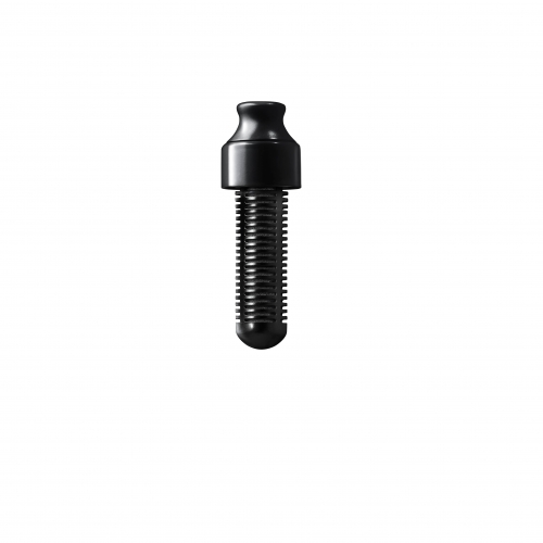 Filtre pour gourde filtrante Bobble Noir