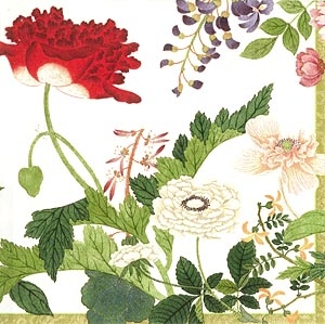Ivory Profusion of flo.x 20 serv.mm
