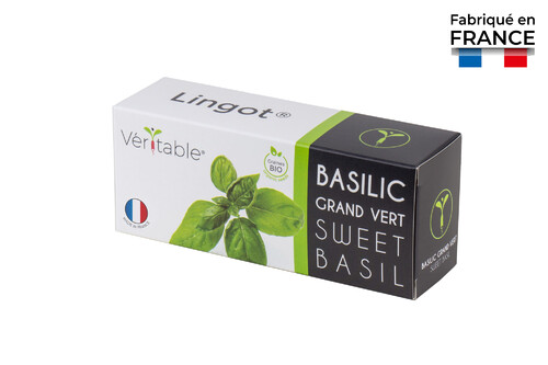 Lingot pour Potagers Véritable Basilic Grand Vert BIO