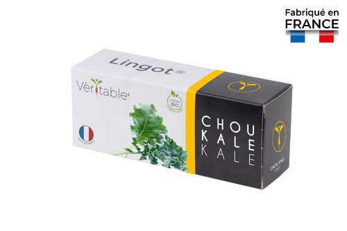 Lingot pour Potagers Véritable Chou Kale BIO