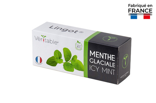 Lingot pour Potagers V&eacute;ritable Menthe glaciale BIO