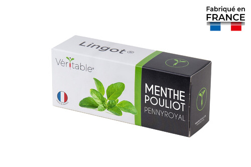 Lingot pour Potagers V&eacute;ritable Menthe Poulliot