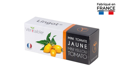 Lingot pour Potagers Véritable Mini tomate jaune