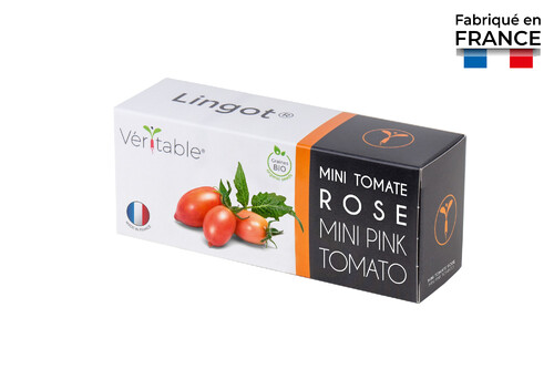 Lingot pour Potagers Véritable Mini tomate rose