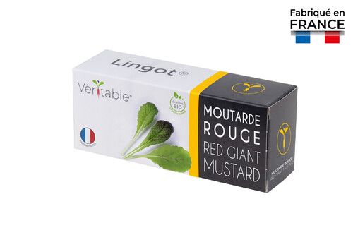 Lingot pour Potagers Véritable Moutarde Rouge BIO