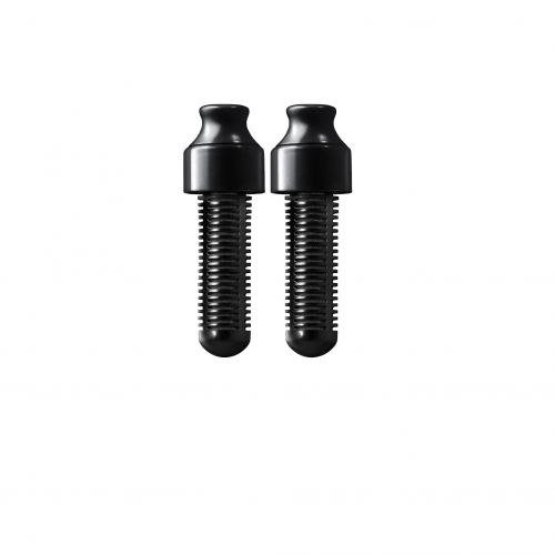Lot de 2 filtres pour gourde filtrante Bobble Noir