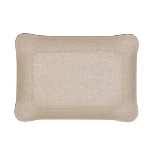 plateau acrylique 19x13cm secret argent