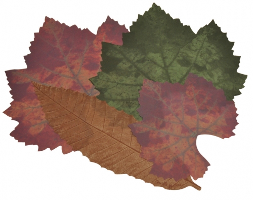 Pochette de 36 feuilles assorties en papier alimentaire