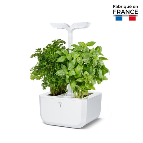 Potager D\'int&eacute;rieur Intelligent Exky Classic