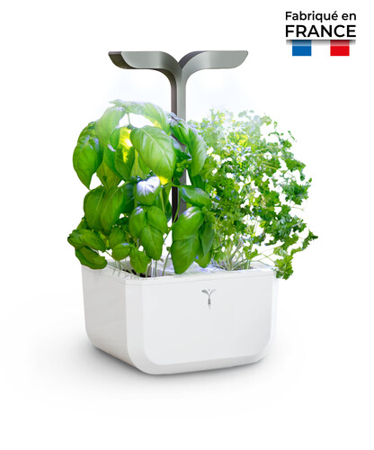 Potager D\'int&eacute;rieur Intelligent Exky CONNECT Infinity Grey