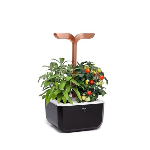 Véritable® Smart (Arctic White Version) - Potager D’Intérieur Fabriqué En France – Jardin