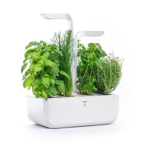 Potager V&eacute;ritable&reg; Classic