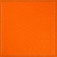 Rouleau de 25 serviettes Orange prédécoupées 20 x 20 cm
