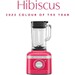 Blender K400 1,4 L Hibiscus (COTY 2023)