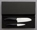Coffret cadeau (Petit Santoku et petit couteau d'office) GEN lame blanche manche